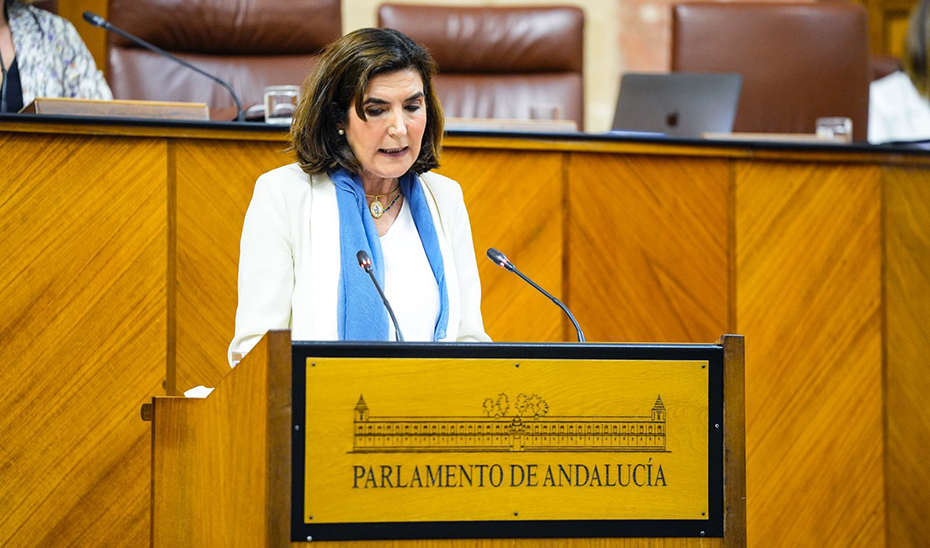 
			      La consejera de Empleo, Empresa y Trabajo Autónomo, Rocío Blanco, durante su comparecencia en el Parlamento de Andalucía.			    
			  